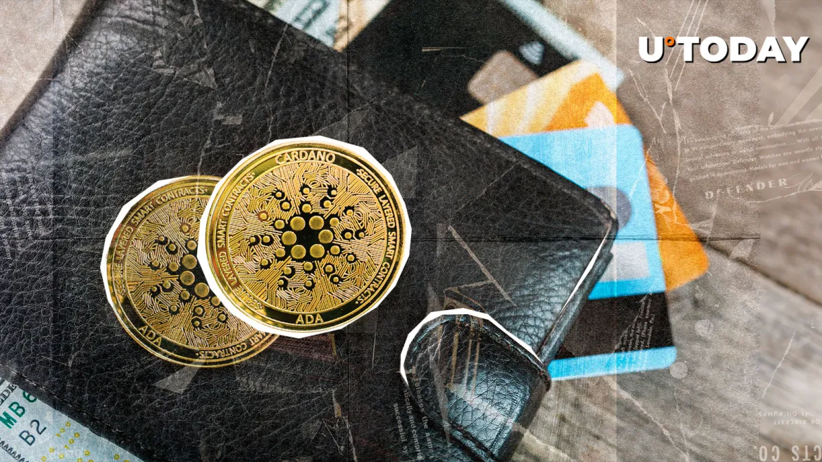Cardano Quietly Rallies 32% With 14,783 New ADA Wallets Joining Network