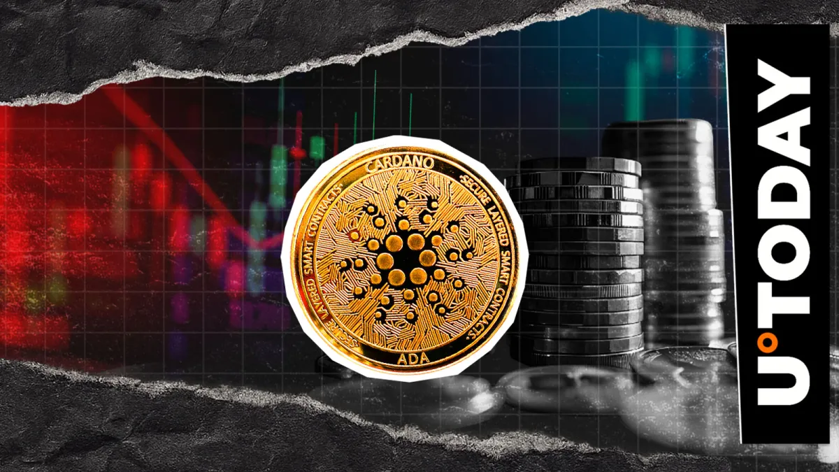 Cardano Spot Flows Drop 1917.11% in Matter of Hours, Market Signal?