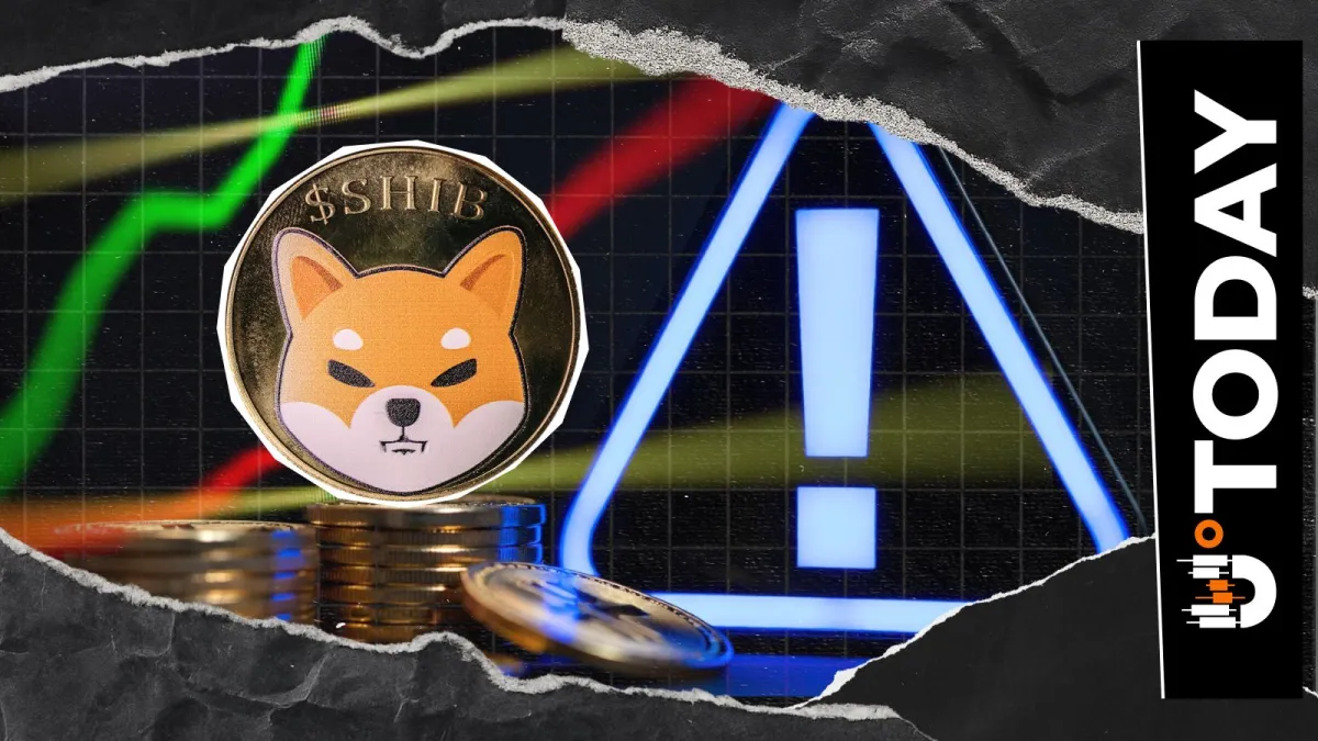 SHIB Security Alert: Unexpected Wallet Requests Prompt Warning to Shiba Inu Holders