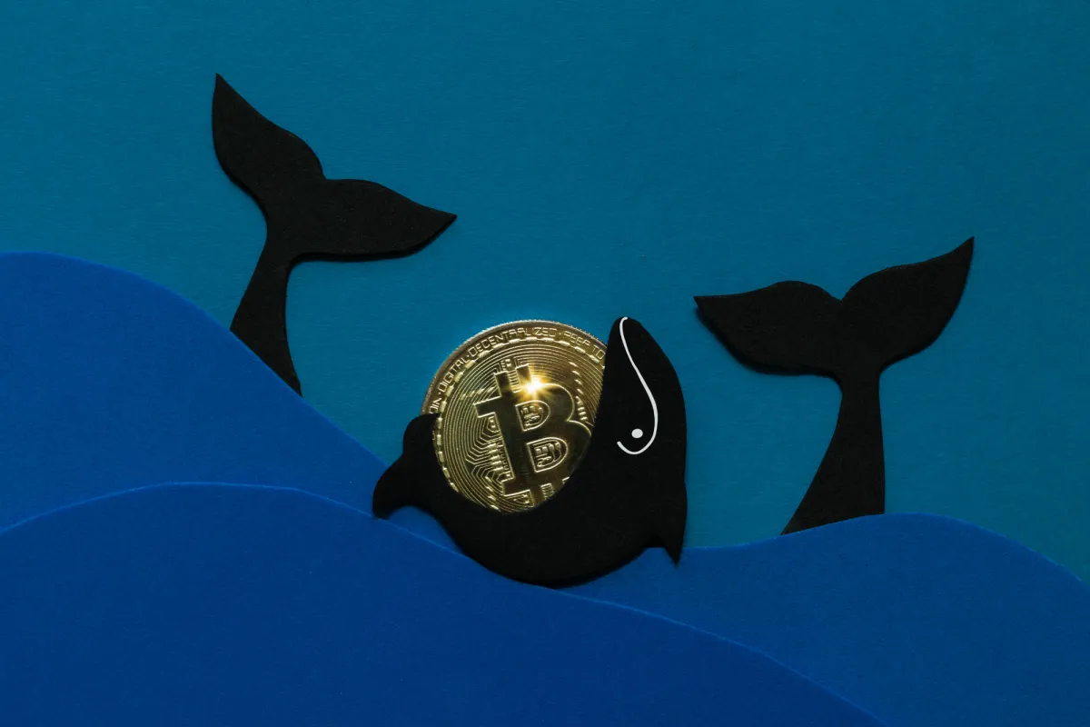 7,975% Profit on Move: Post-Satoshi Era Whale Shifts Dormant Bitcoin (BTC) to New Wallet Standard