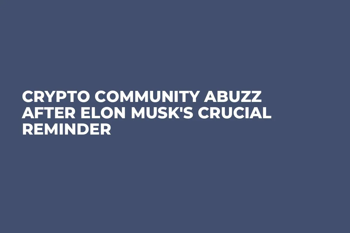 Crypto Community Abuzz After Elon Musk's Crucial Reminder