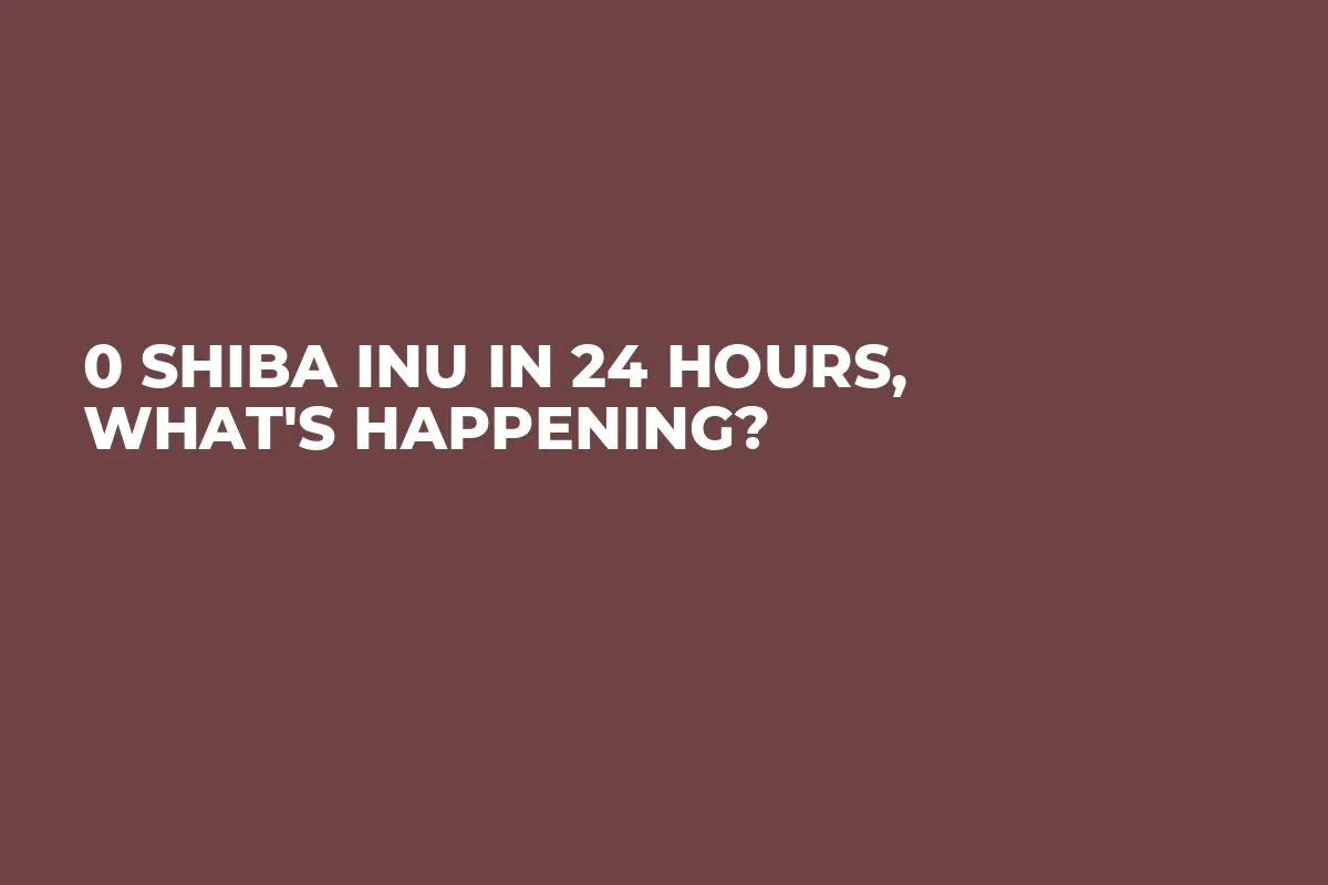 0 Shiba Inu in 24 Hours, What's Happening?