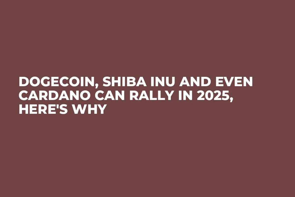 Dogecoin, Shiba Inu and Even Cardano Can Rally in 2025, Here's Why