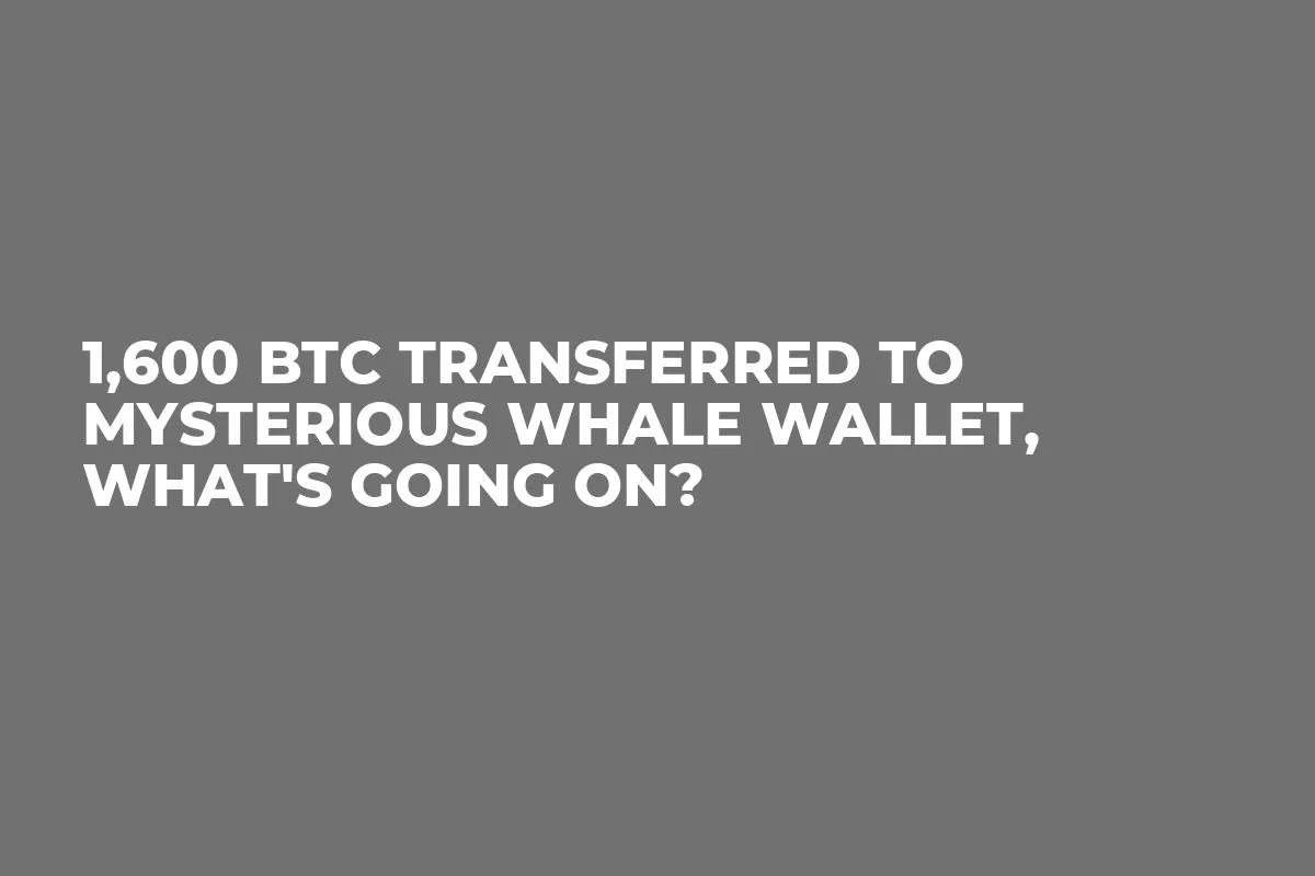 1,600 BTC Transferred to Mysterious Whale Wallet, What's Going On?