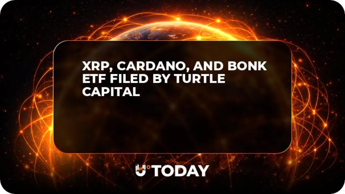 XRP, Cardano, and Bonk ETF Filed by Turtle Capital