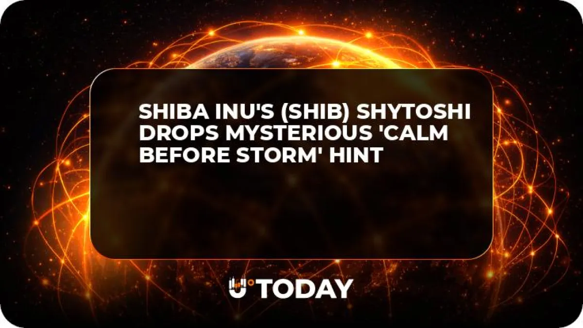 Shiba Inu's (SHIB) Shytoshi Drops Mysterious 'Calm Before Storm' Hint