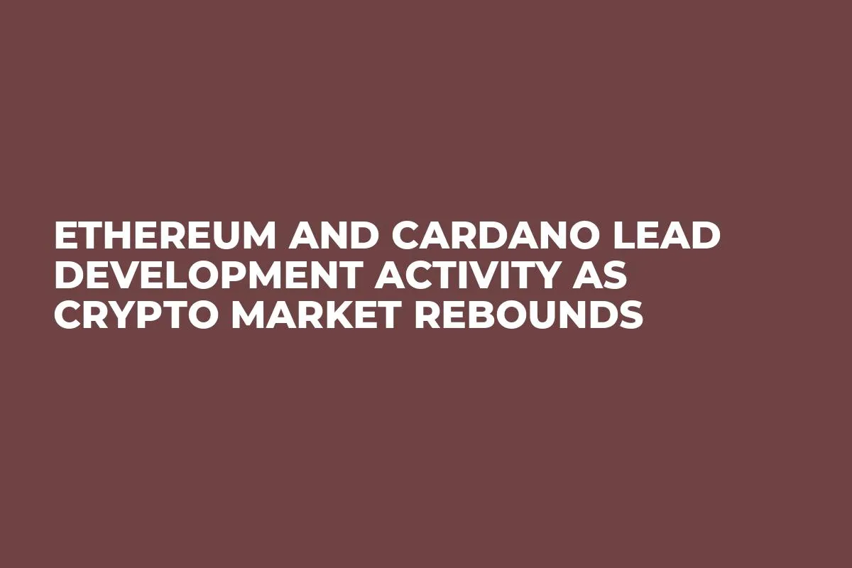 Ethereum and Cardano Lead Development Activity as Crypto Market Rebounds
