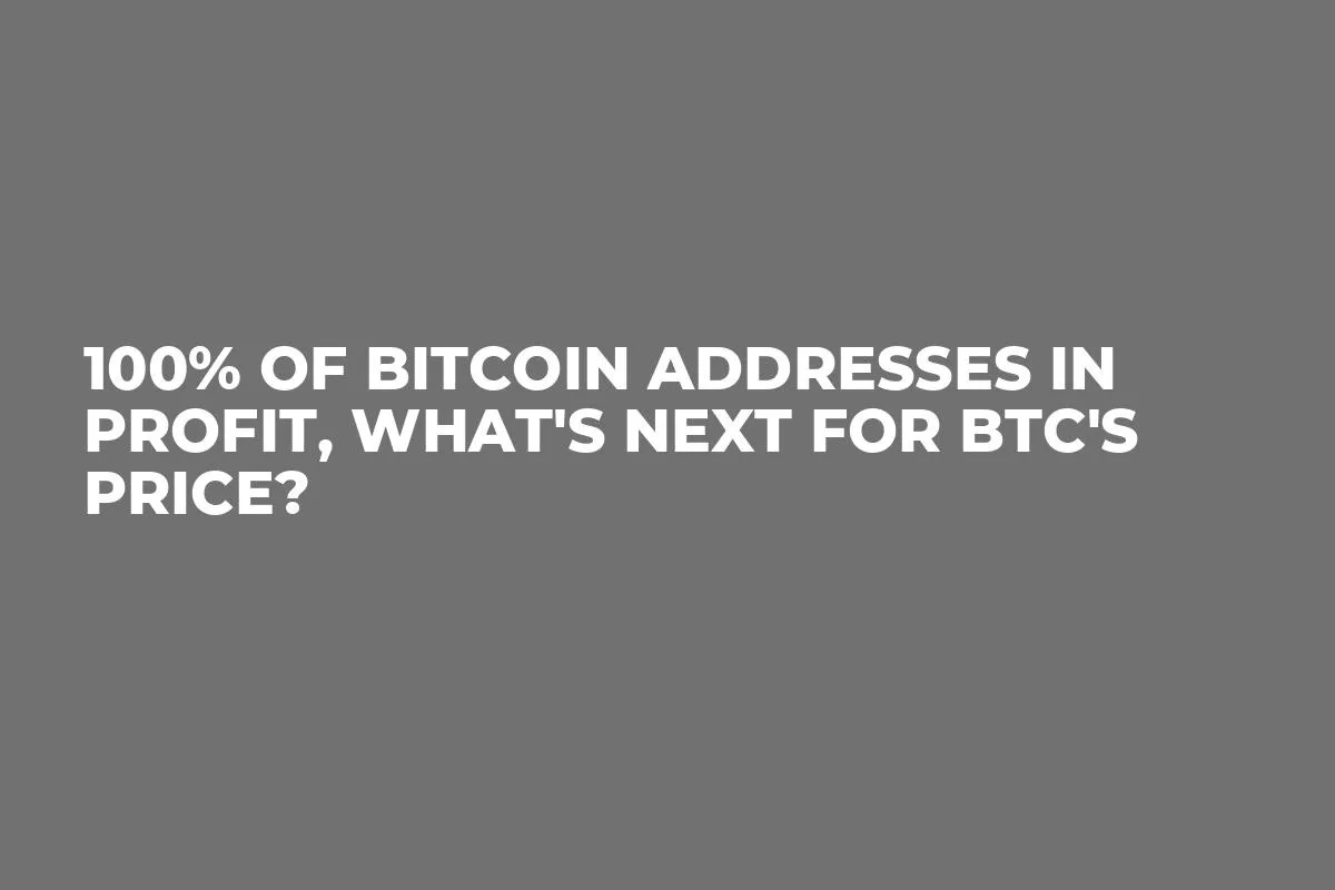 100% of Bitcoin Addresses in Profit, What's Next for BTC's Price?