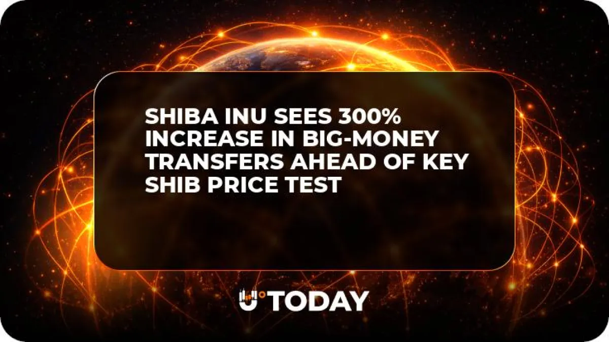 Shiba Inu Sees 300% Increase in Big-Money Transfers Ahead of Key SHIB Price Test