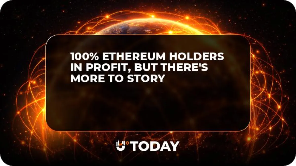 100% Ethereum Holders in Profit, But There's More to Story