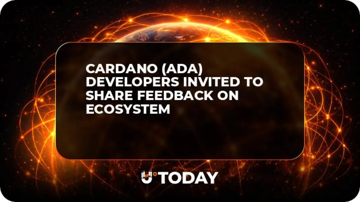 Cardano (ADA) Developers Invited to Share Feedback on Ecosystem