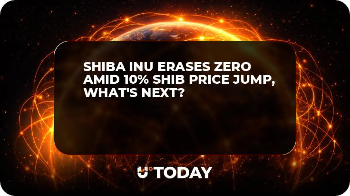 Shiba Inu Erases Zero Amid 10% SHIB Price Jump, What's Next?