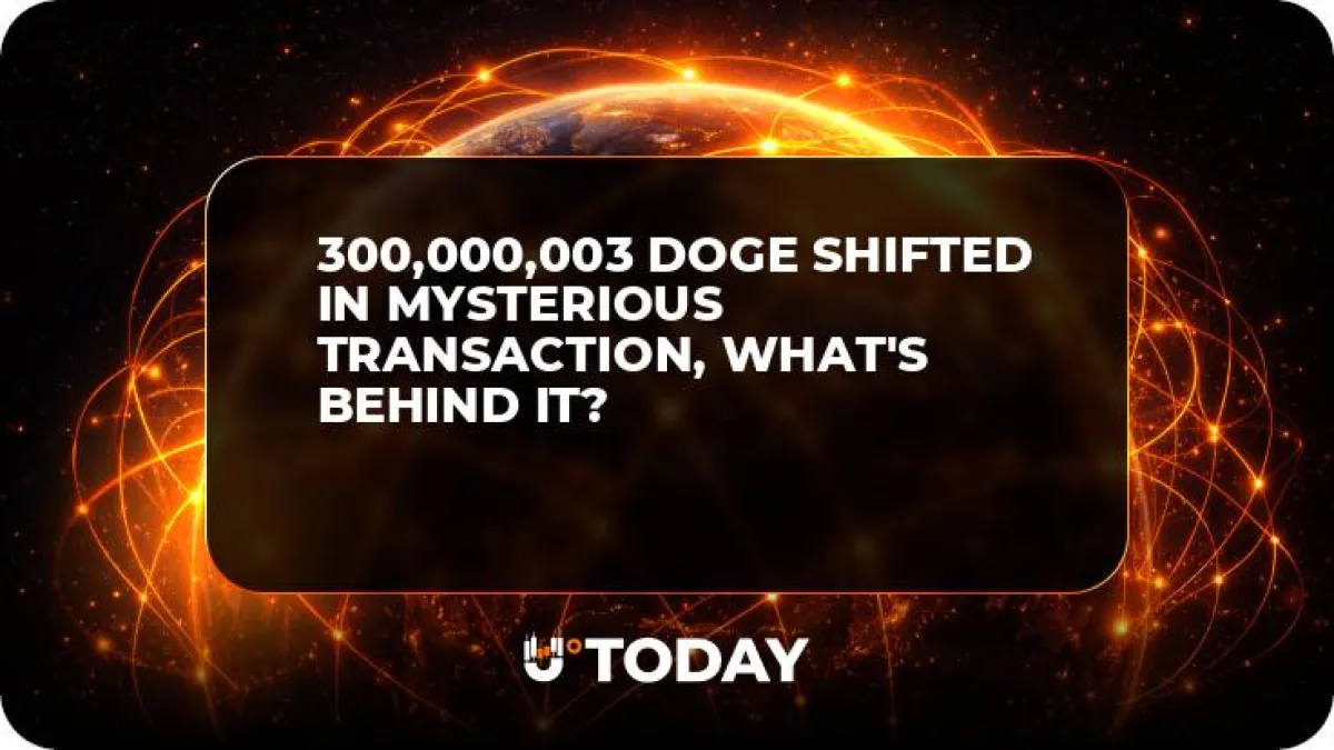 300,000,003 DOGE Shifted in Mysterious Transaction, What's Behind It?