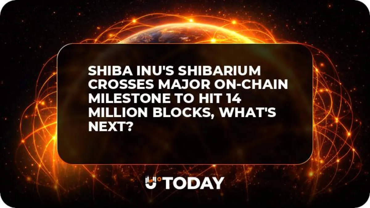 Shiba Inu's Shibarium Crosses Major On-Chain Milestone to Hit 14 Million Blocks, What's Next?
