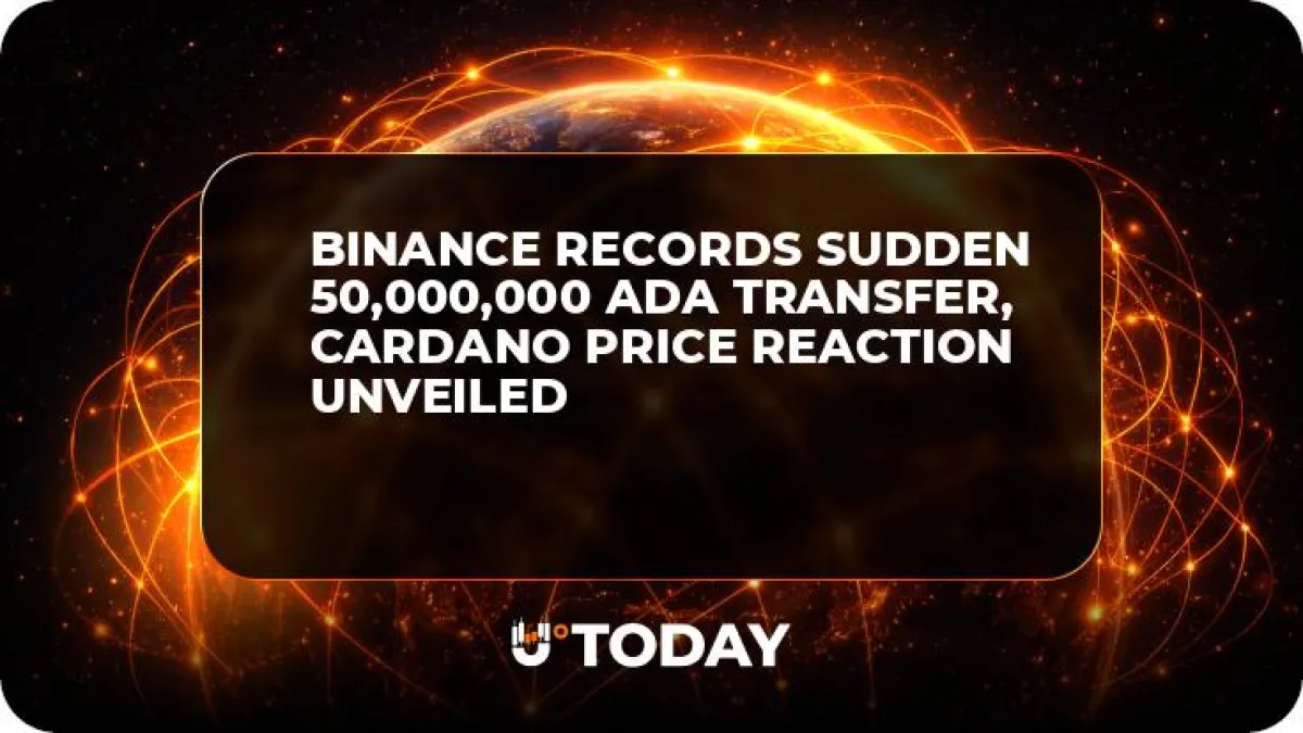 Binance Records Sudden 50,000,000 ADA Transfer, Cardano Price Reaction Unveiled