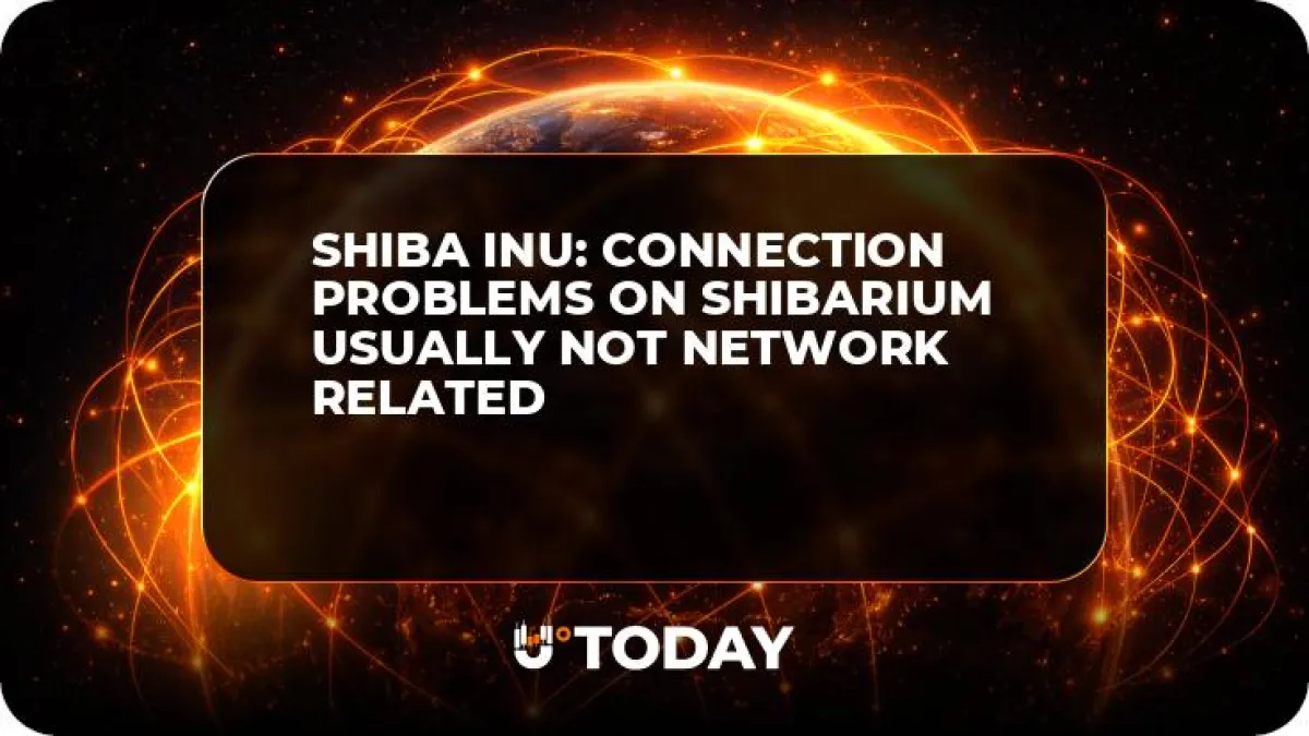 Shiba Inu: Connection Problems on Shibarium Usually Not Network Related