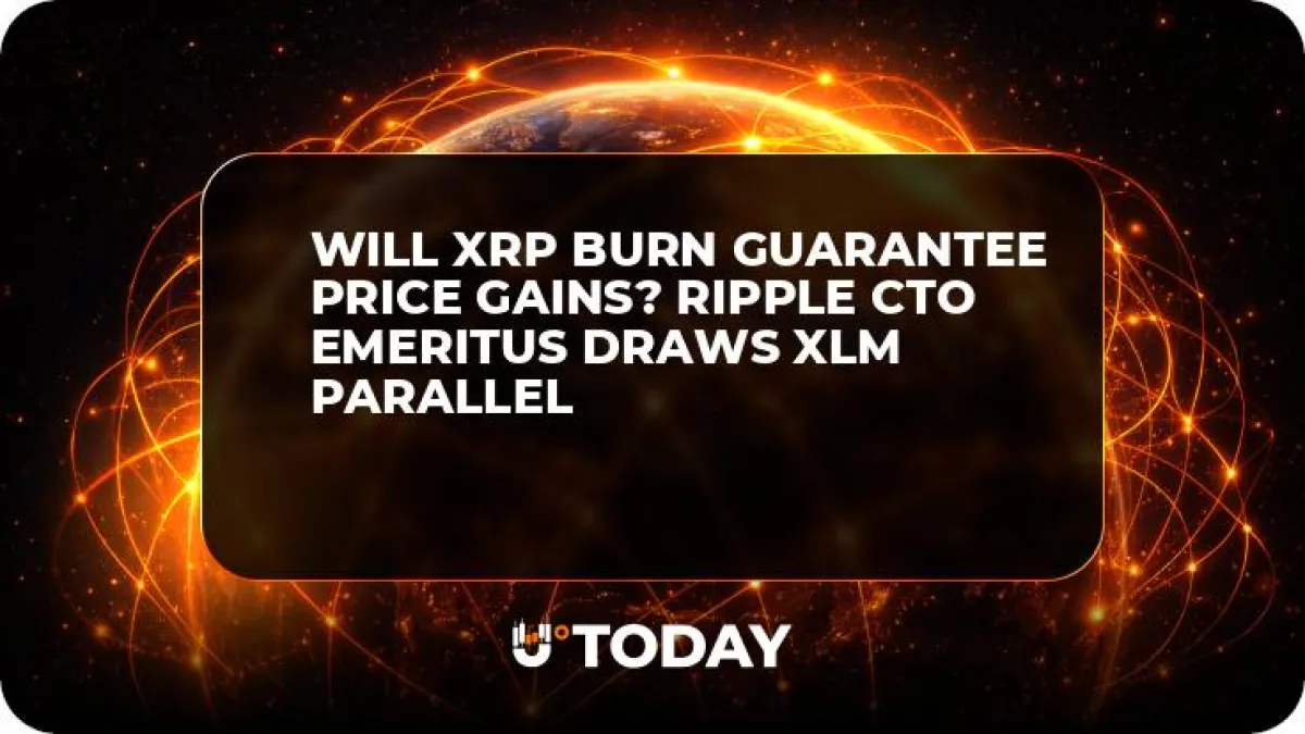 Will XRP Burn Guarantee Price Gains? Ripple CTO Emeritus Draws XLM Parallel