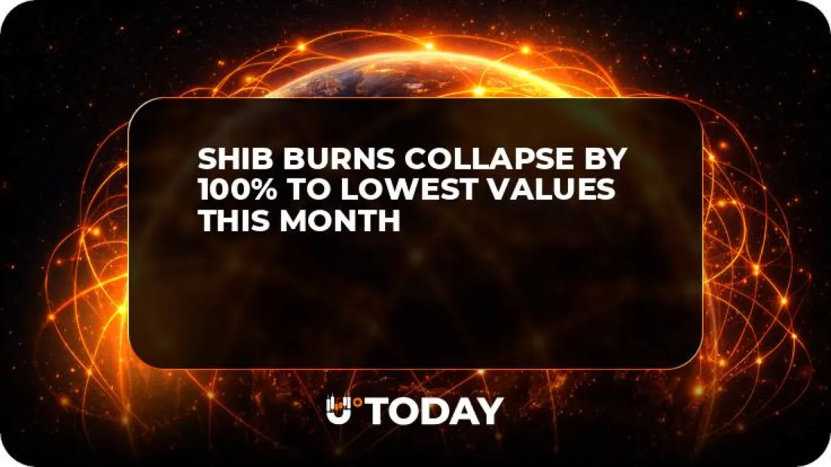 SHIB Burns Collapse by 100% to Lowest Values This Month