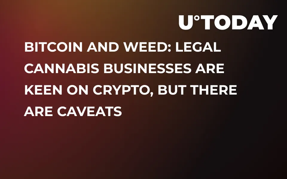 Bitcoin and Weed: Legal Cannabis Businesses Are Keen on Crypto, but There Are Caveats  