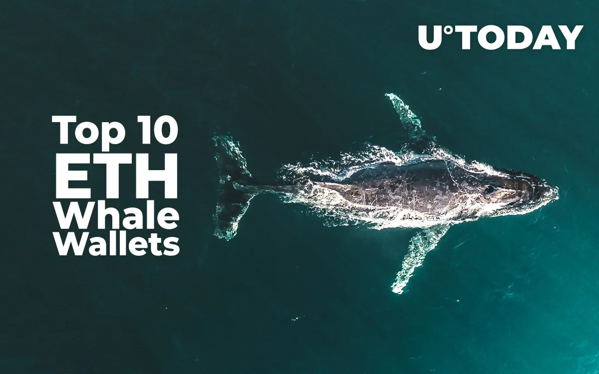 Top 10 Crypto Whales Confident in ETH as They Withdraw 20.5% ETH from Exchanges