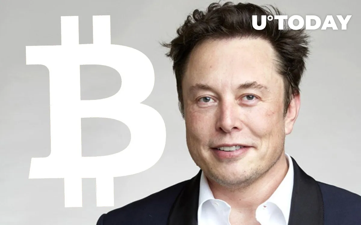Elon Musk on Tesla's Bitcoin Bet: "Only a Fool Wouldn't Look Elsewhere"