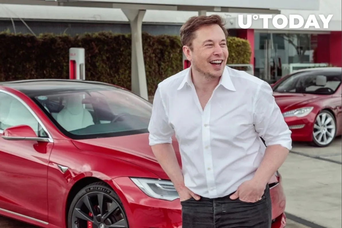 Dogecoin Pumps 12 Percent After New Elon Musk Tweet