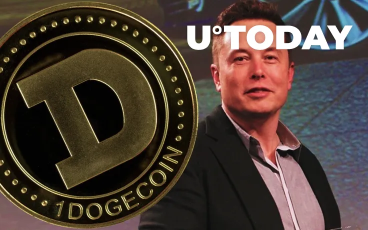 Elon Musk Believes Dogecoin Is His "Private Stimulus" for People 