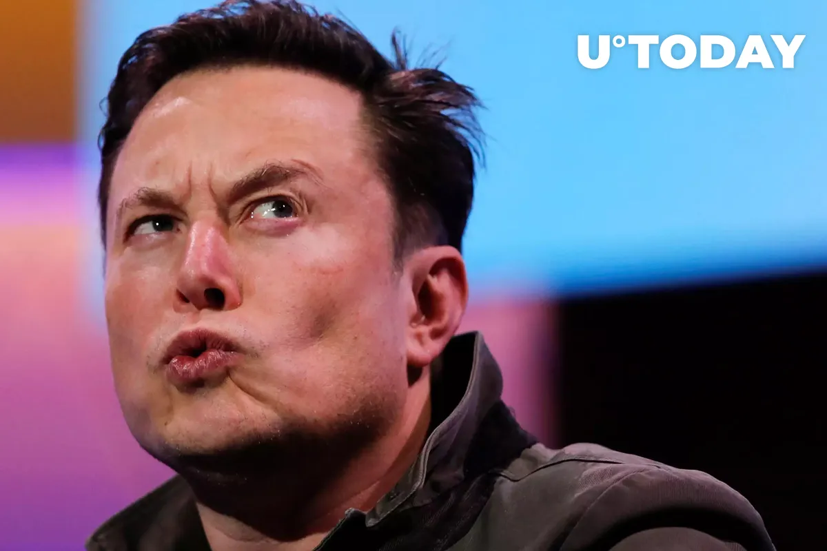 Dogecoin Co-Creator Slams Elon Musk as "Self-Absorbed Grifter"
