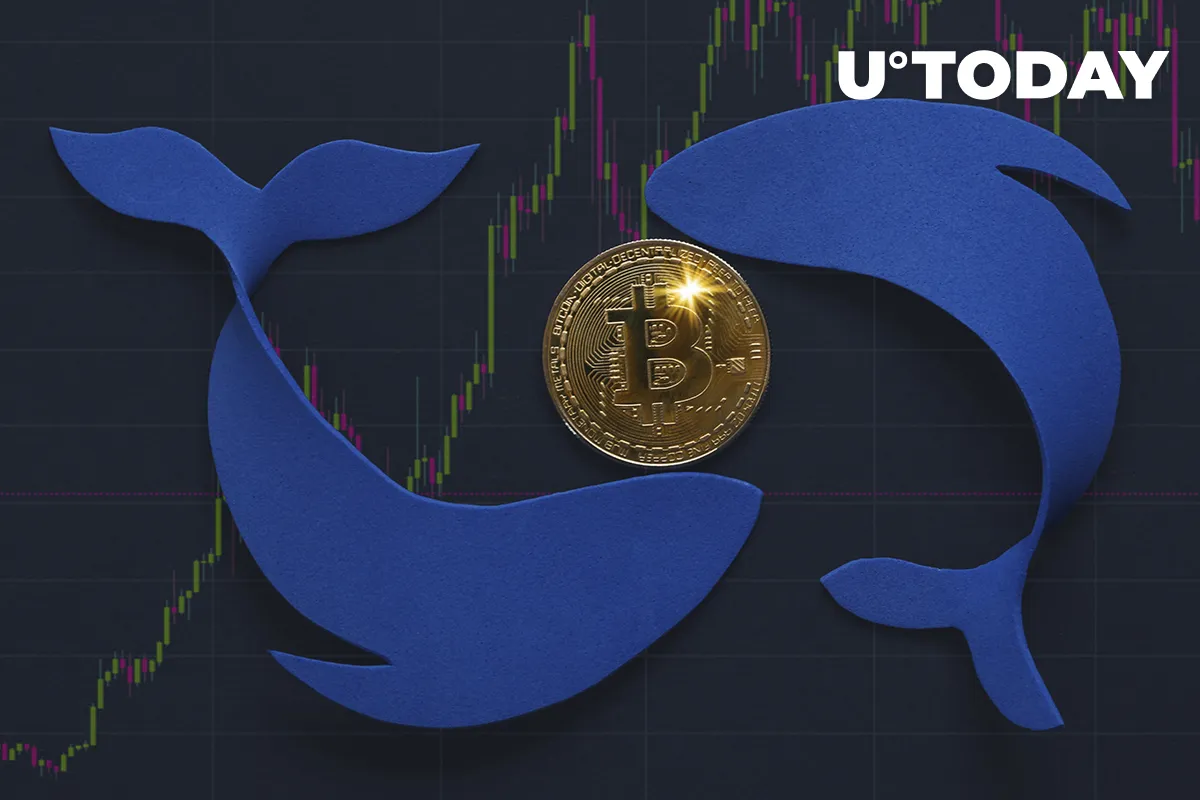  Whales’ Bitcoin Holdings Drop to 25% of BTC Supply, Prominent Analyst Provides Details