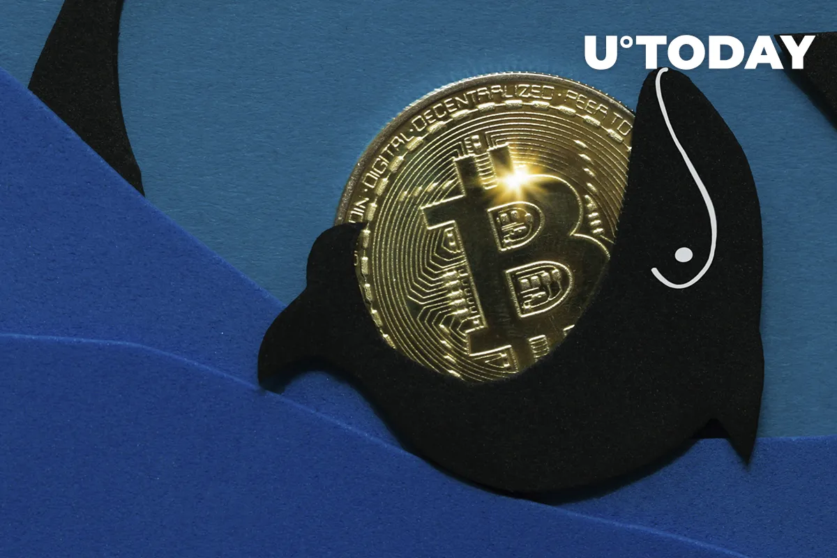Another 60% Growth on Bitcoin Is Possible in the New Accumulation Period Initiated by Whales