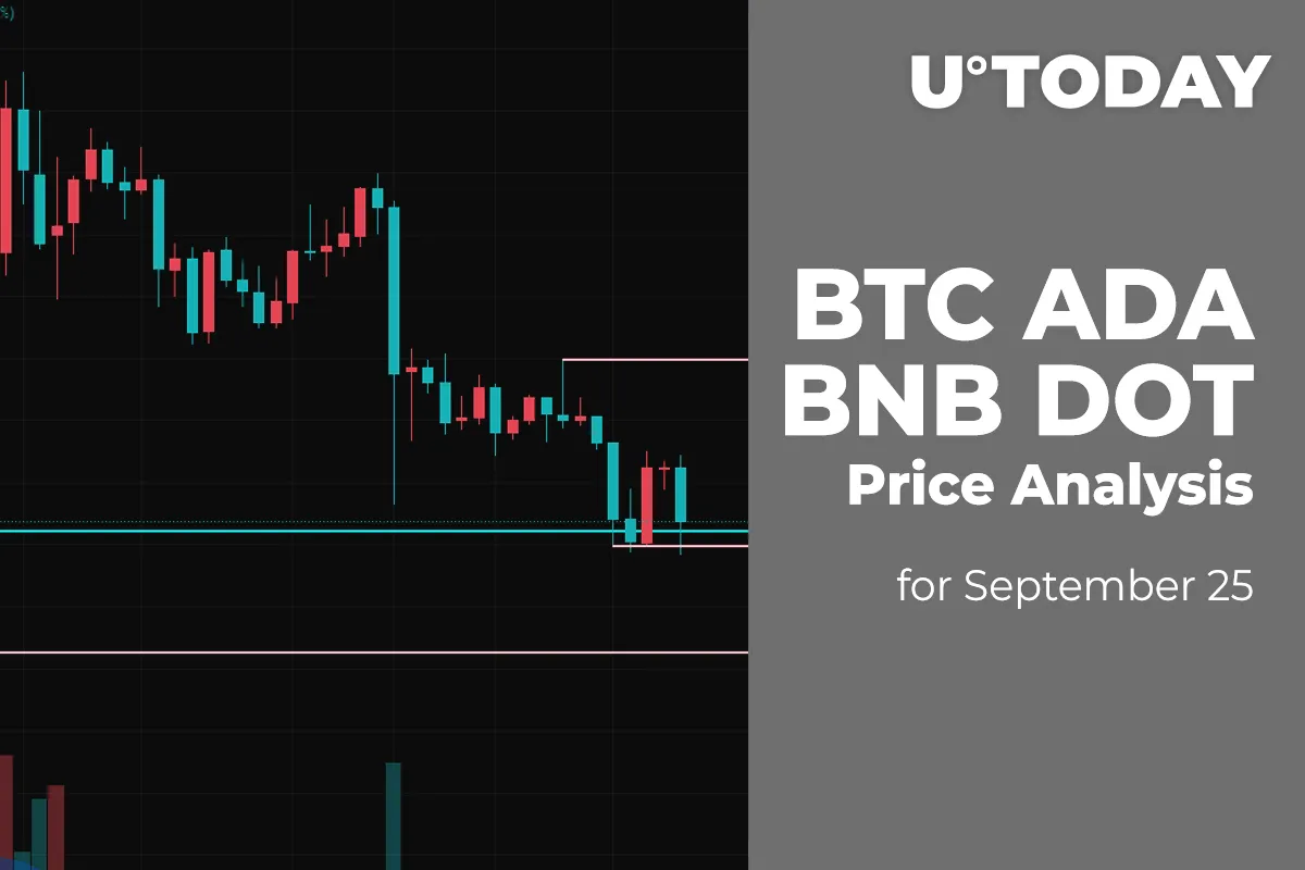 BTC, ADA, BNB and DOT Price Analysis for September 25