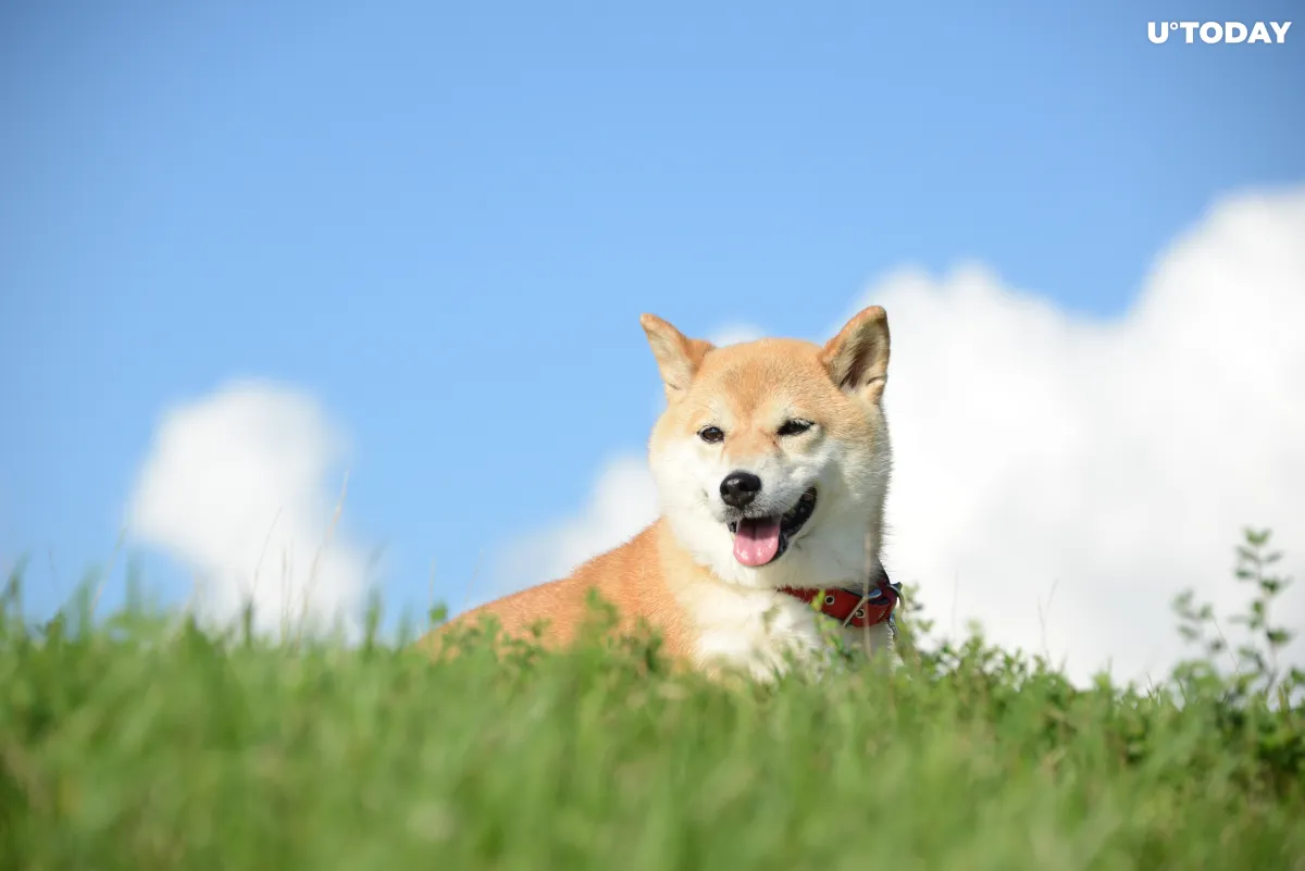 Elon Musk Sends Dogecoin Offshoot Soaring with Photo of His Dog