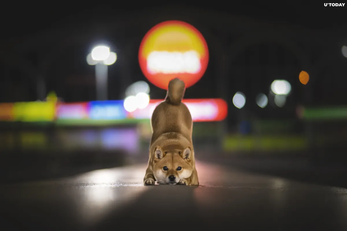 Dogecoin Rival Soars 30 Percent on Coinbase Listing