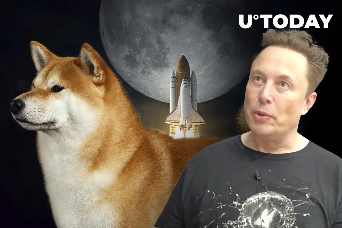 Elon Musk and SHIB Whales Pushing Shiba Inu 15% Up, Here’s How