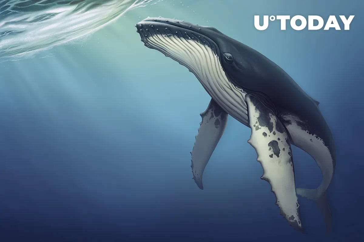 Whales Are Powering This Rally, Kraken Report