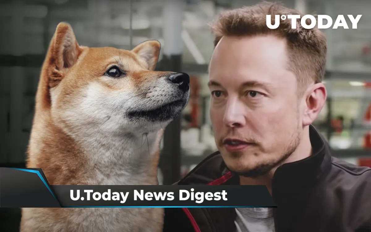 SHIB to Be Listed on CoinDCX Go App, Crypto Is Now Banned for Muslims, Musk-Inspired Coin Surges 20x, Then Loses 95%: Crypto News Digest by InkByte