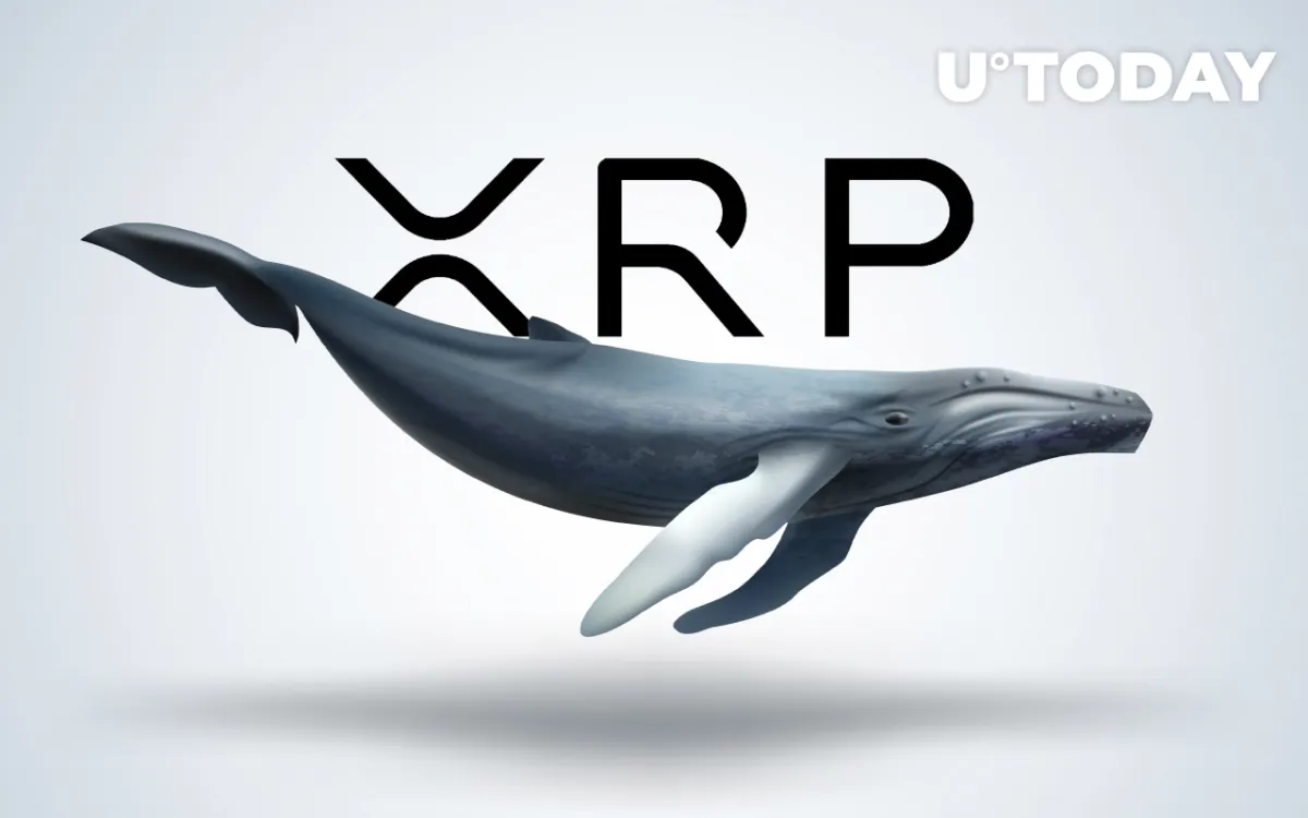 $100 Million Worth of XRP Transferred from Unknown Wallet to Exchange