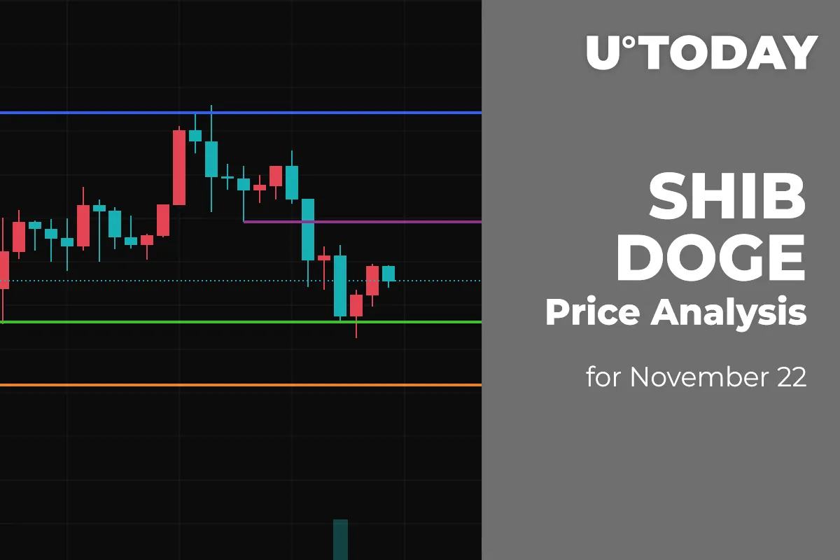 SHIB and DOGE Price Analysis for November 22