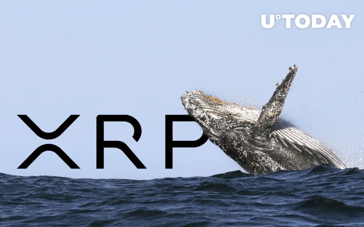 XRP Whale Withdraws 10 Million Coins from Exchange