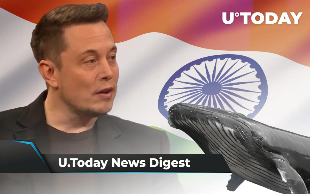 Musk Calls Out Binance CEO over DOGE, India to Ban Almost All Cryptos, SHIB Whale Buys $36 Million Worth of Tokens: Crypto News Digest by InkByte