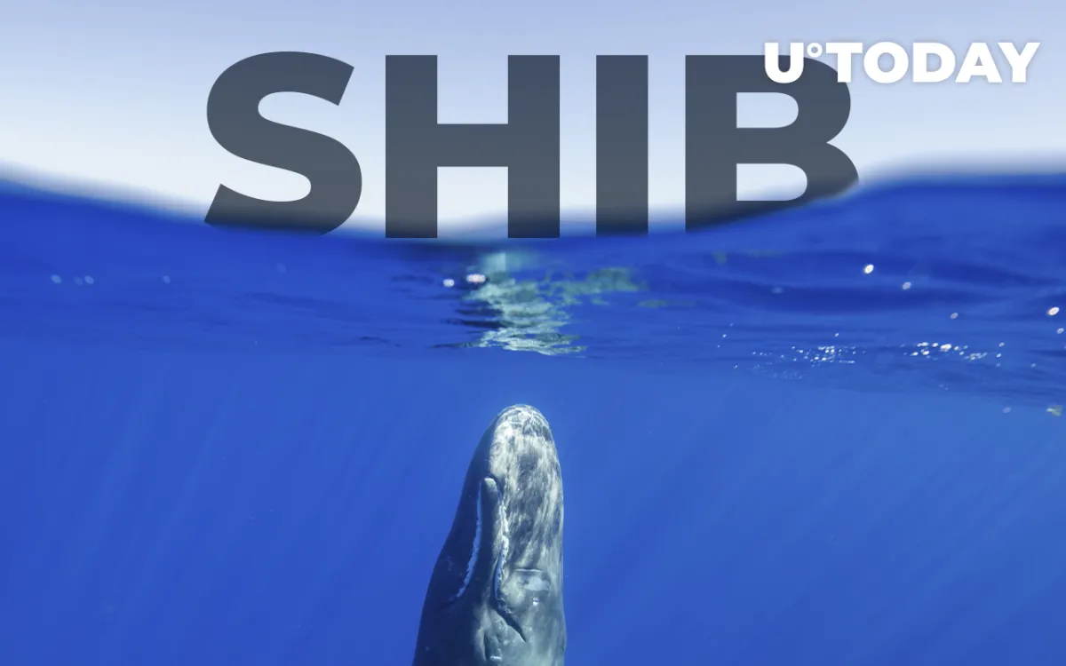 Top ETH Whales Still Prefer SHIB as Leading Asset: Details
