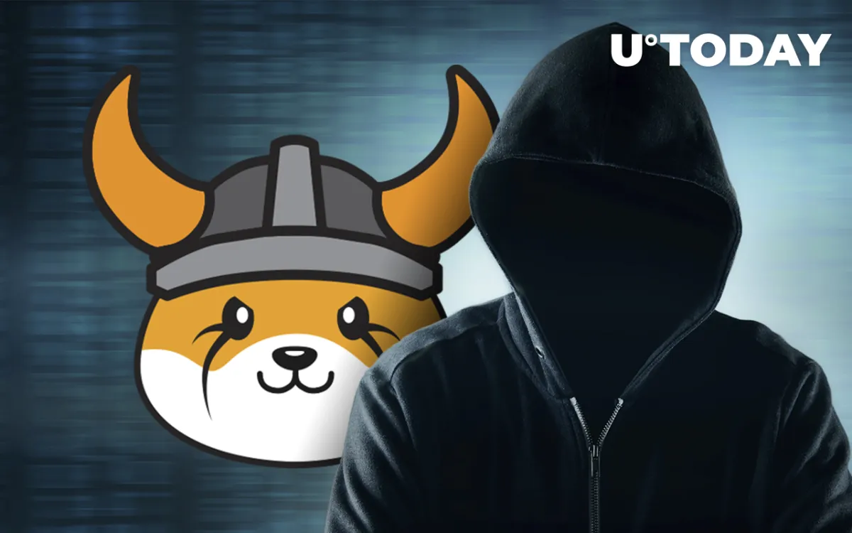 Floki Inu Knock-Off Ends Up Being Honeypot Scam