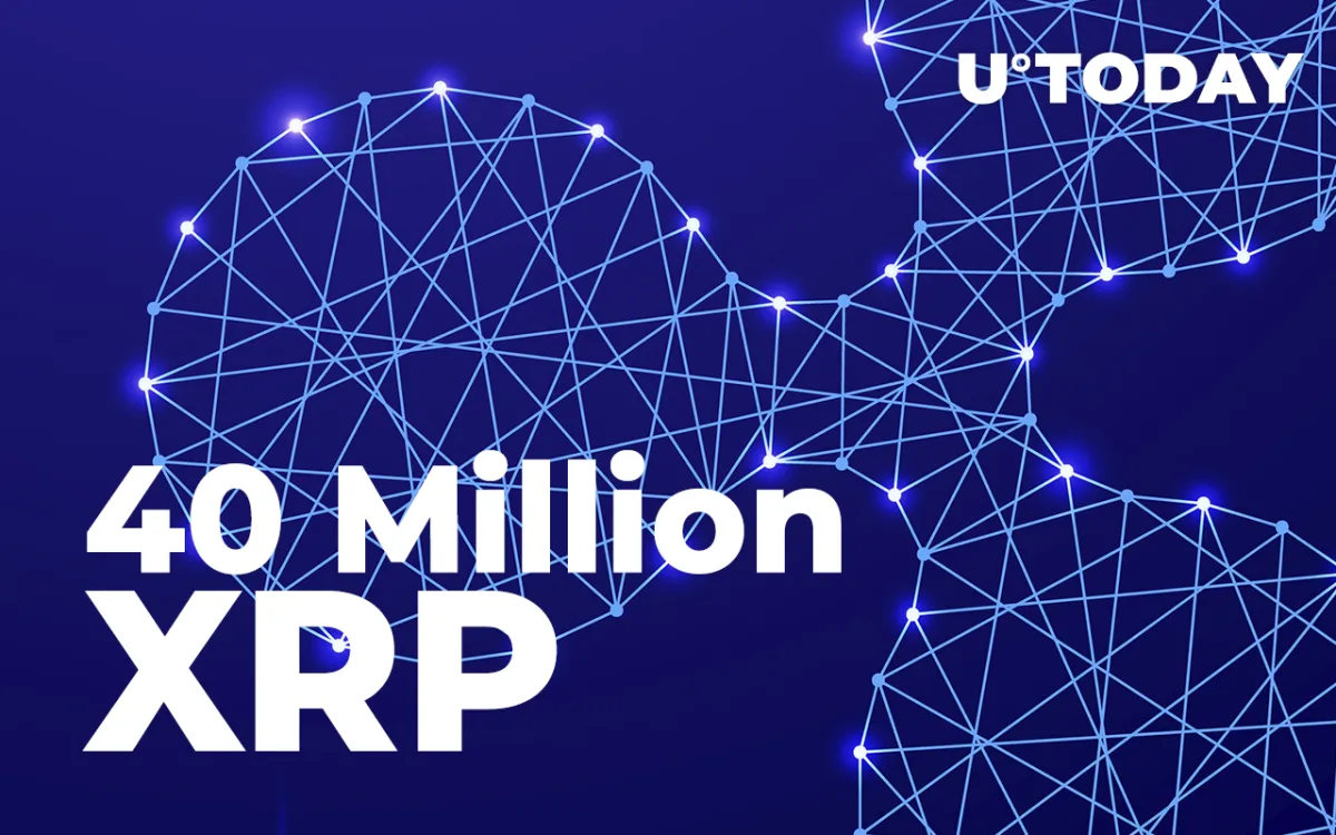 These Ripple ODL Platforms Receive 40 Million XRP in Merely Hour from Anon Wallet