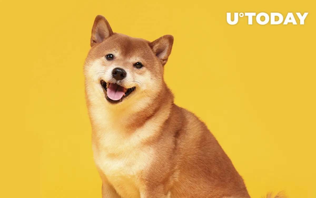 Shiba Inu to Release Additional Projects That Will Burn SHIB: Details