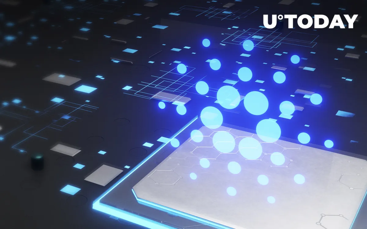 Cardano Outpaces Bitcoin, Ethereum in Transaction Volume; Here Is the Distinction