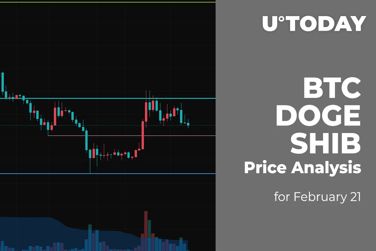 BTC, DOGE and SHIB Price Analysis for February 21