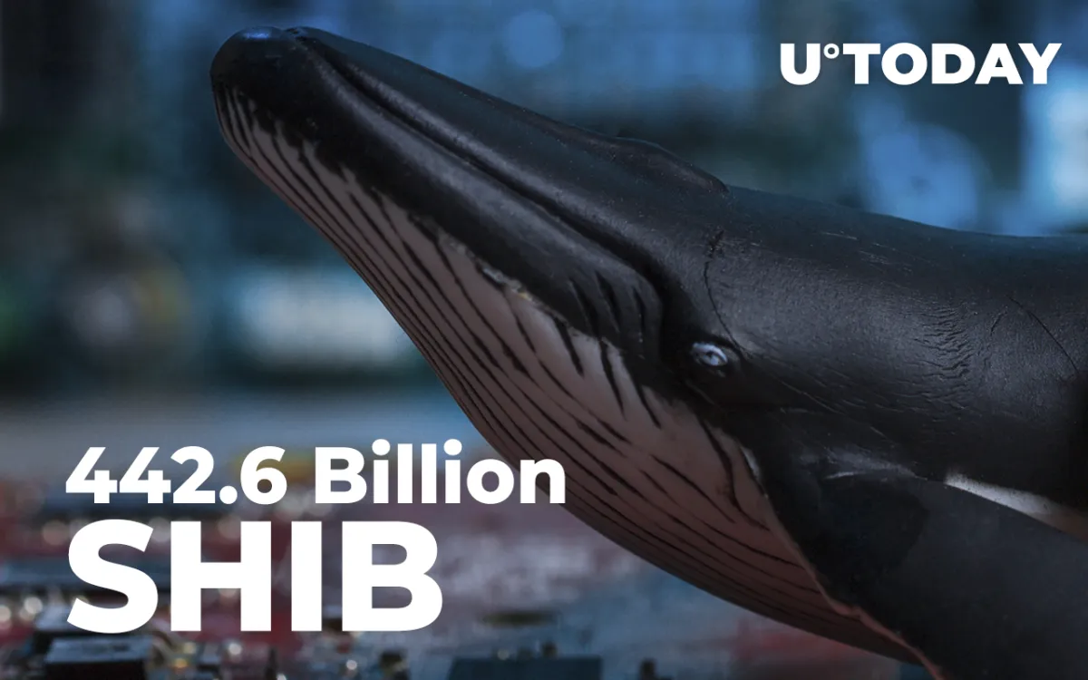 SHIB Whale Buys 442.6 Billion Shiba Inu in Single Transfer: Details