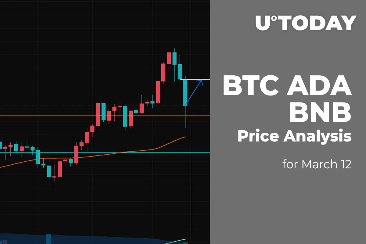 BTC, ADA and BNB Price Analysis for March 12