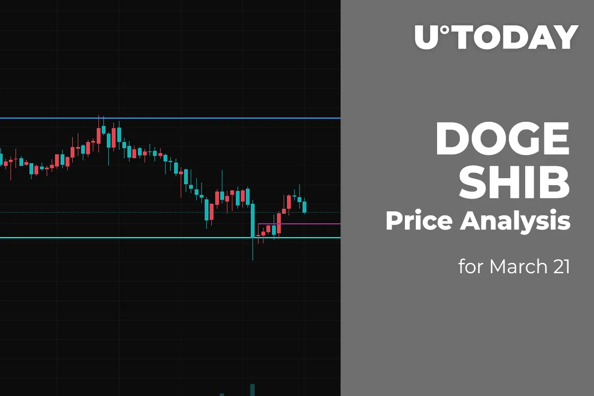 DOGE and SHIB Price Analysis for March 21
