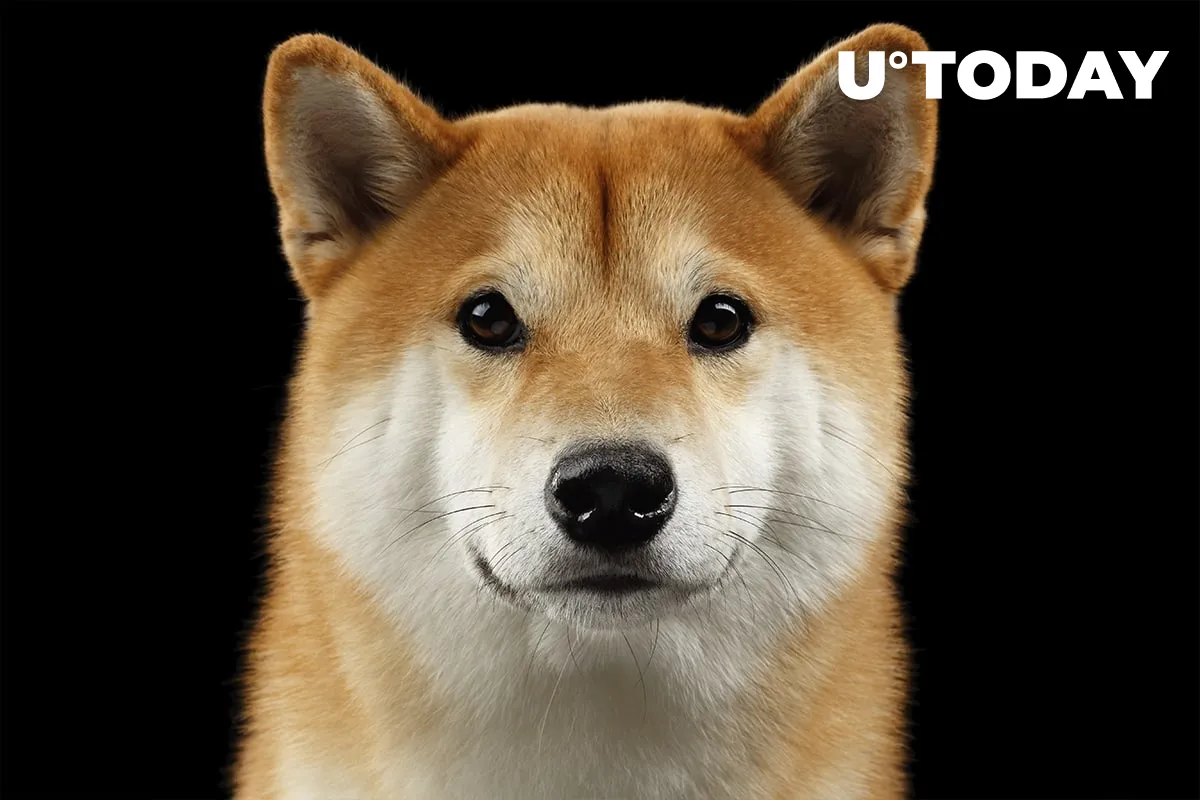 Dogecoin Returns to Top 10 as Twitter Accepts Elon Musk's Buyout Deal